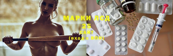 индика Алзамай