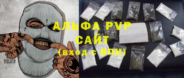 индика Ростов