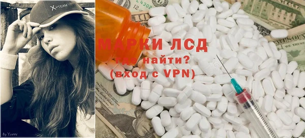 индика Алзамай