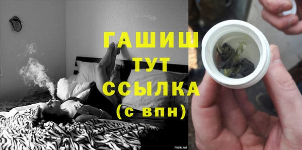 индика Алзамай