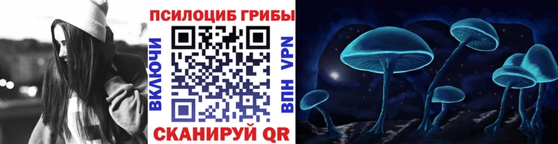Галлюциногенные грибы Psilocybine cubensis  где найти   OMG рабочий сайт  Струнино 